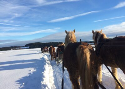 Arrenslee bedrijfsuitje Winterberg