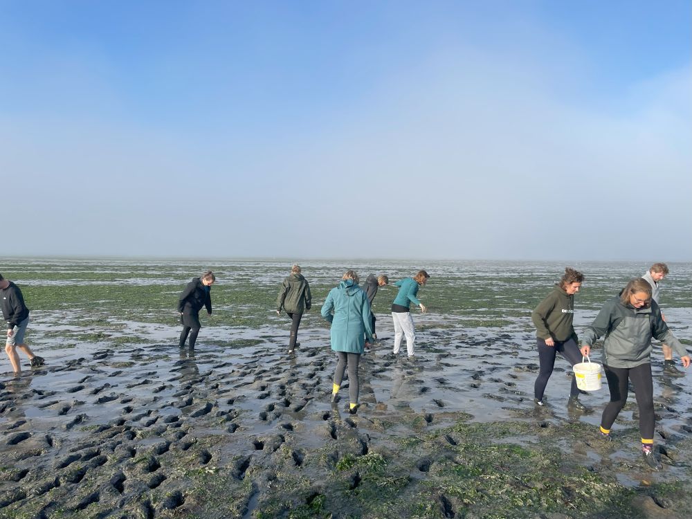 Wadlopen waddeneilanden Incentive naar Hvar